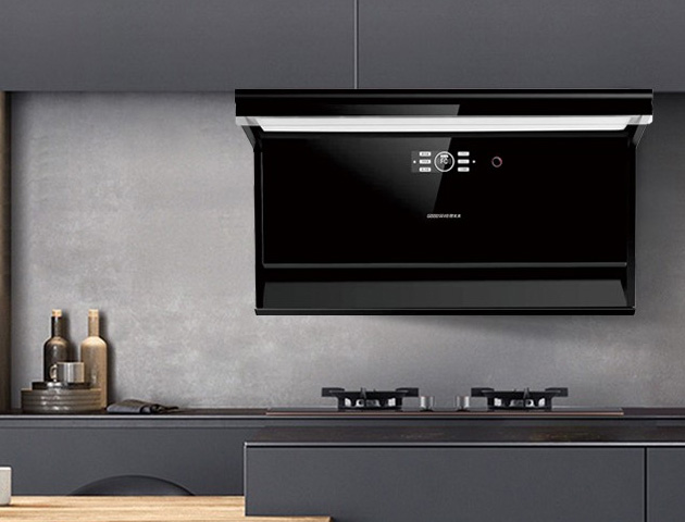 CXW-200-8201馭風近吸，凈顯風范